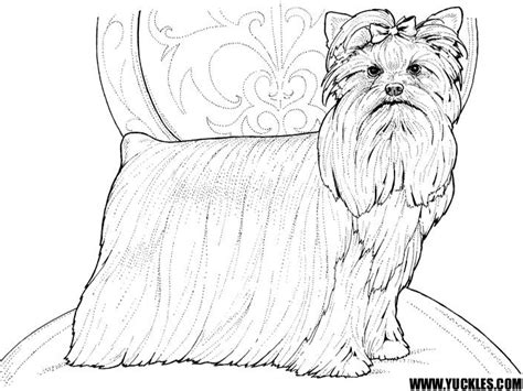 We have collected 40+ yorkie dog coloring page images of various designs for you to color. Download Yorkshire Terrier coloring for free ...