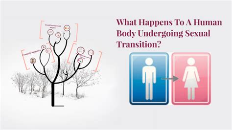 Sexual transmission of hiv within migrant groups in the eu/eea. What happens to a Human Body Undergoing Sexual Transition ...