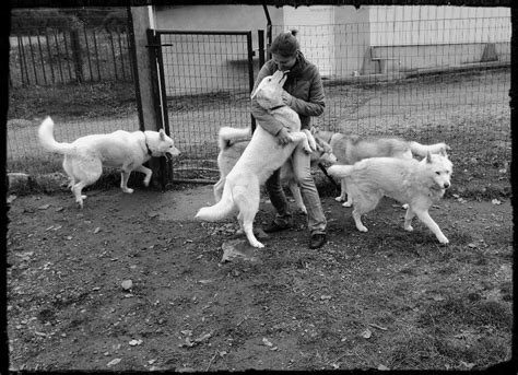 It is made available on the understanding that the bureau of the treasury (btr), pension chien questembert - Garde de chiens