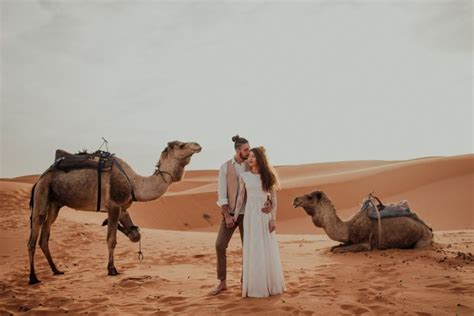 Morning desert safari in dubai with camel ride & sand boarding. Morning Safari With Camel Ride And Sand-boarding