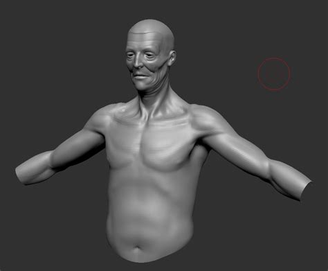 This man is depicted in two different poses, which gives an exact representation of the proportions of the human body. Jake_H blogfolio: Updates Middle aged man anatomy study ...