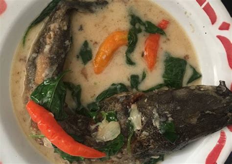 Berbahan dasar ikan lele yang dimasak seperti sayur santan pedas ada 2 jenis ikan lele yang biasa digunakan yaitu lele asap dan lele goreng. Resep Olahan Lele Pedas : Resep Dan Cara Membuat Ikan Lele Bumbu Rujak Yang Enak Gurih Dan Lezat ...