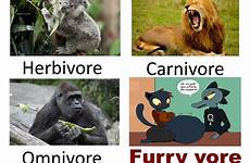 vore furry ifunny omnivore carnivore