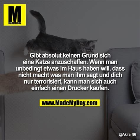 Ich denke mal, dass irgendein haus auf deiner straße ein kabelanschluss hat, demnach müsste schlimmstens das kabel zum haus gelegt werden. Gibt absolut keinen Grund sich eine Katze anzuschaffen ...