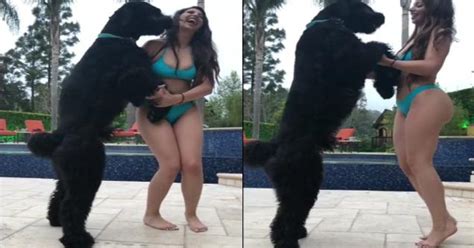 Hot amateur dancing and masturbating. Man Sues Instagram Model For Sexually Arousing His Dog ...