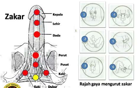 Pati minyak lintah bukan sahaja untuk merawat kelelakian anda, tapi memperhebatkan lagi kejantanan anda diranjang. Minyak Lintah Tradisi Gunung Asli - Barangan Lelaki ...