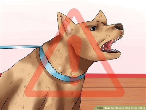 Maybe you would like to learn more about one of these? How to Make a Dog Stop Biting - wikiHow