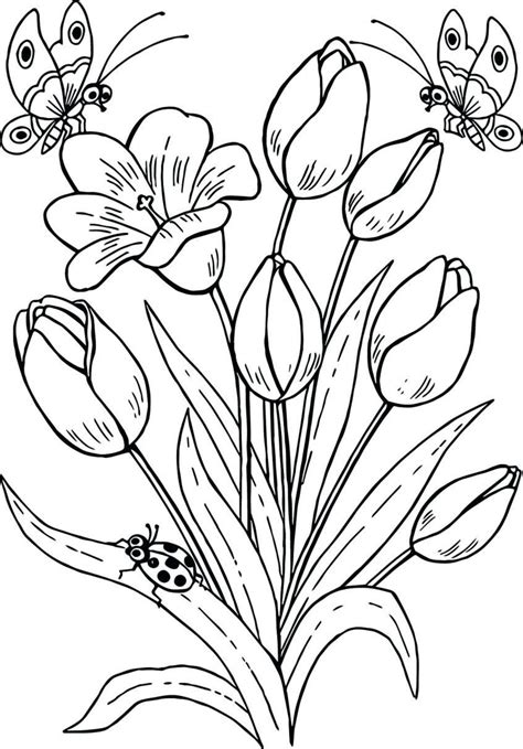 You could also print the. Senior Citizen Easy Coloring Pages For Seniors - Free ...