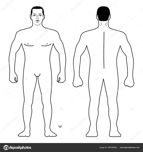 The anatomical names and corresponding common names are indicated for specific body regions; Fashion Man Body Full Length Template Figure Silhouette ...