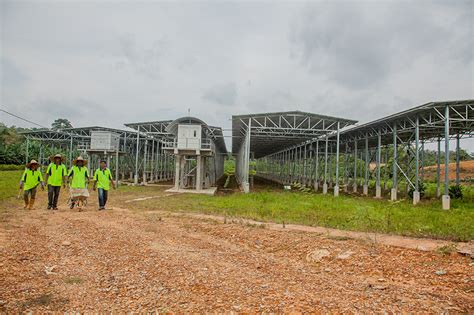 Senanglah balik boleh solat kat situ terus.dari masjid kkb ke tanjung malim tak jauh mana pun. BSL Eco Energy Projects - Matahari Kencana Solar Farm ...