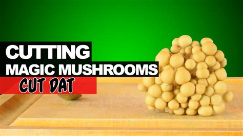 We did not find results for: Cutting Magic Mushrooms - YouTube