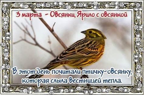 До конца года остаётся 303 дня. Народные приметы на 3 марта | Ivanovo Portal