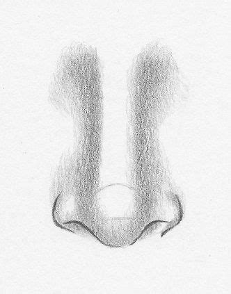 How to draw a nose from the front - 7 easy steps | Nose ... All you need is a pencil, some paper, and an eraser along with the willingness to try!