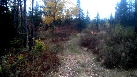 Its size will hold about 16 bottles of soda for the inside fridge and the outside fridge is a standard dorm sized fridge with small freezer. The Upstate Ny Boys Build a deer blind aka (the stabbin ...