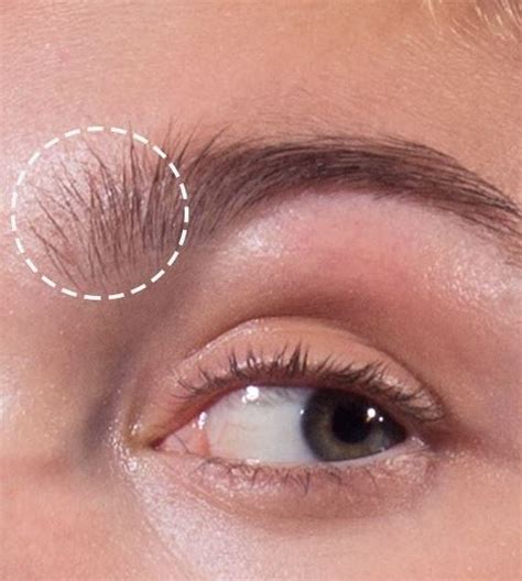 We did not find results for: Perfect Brows: A Complete Guide to Eyebrow Makeup & Shaping