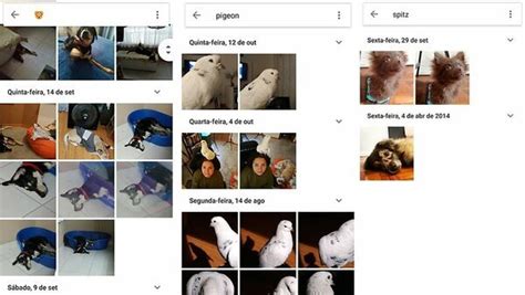 Sign in to continue to google photos. Google Fotos - Como funciona? Ferramentas, Avaliação, Preço