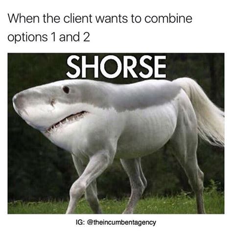 Please link to images directly. Funny Agency Memes That Designers And Creatives Will Relate To