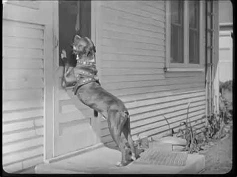 Charlie chaplin'in 65 filmi bir arada! Charlie Chaplin dog funny clip-HD@laughcheka_bobck - YouTube