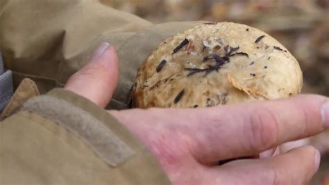 Jul 04, 2021 · there have been reports of shelves with forty rings and weights up to three hundred pounds. Mushroom Identification Walk - YouTube