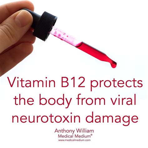 Lauric acid and caprylic acid present in it are essential for boosting the immune system against virals. Medical Medium® on Instagram: "Vitamin B12 (with ...
