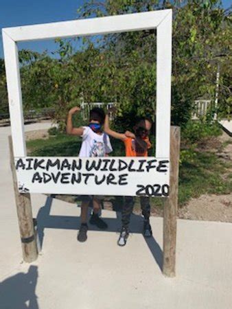 At aikman wildlife adventure you are sure to see a spectrum of exotic and common animals, and aikman wildlife provides different channels to see these animals, too. Aikman Wildlife Adventure (Arcola) - 2020 All You Need to ...