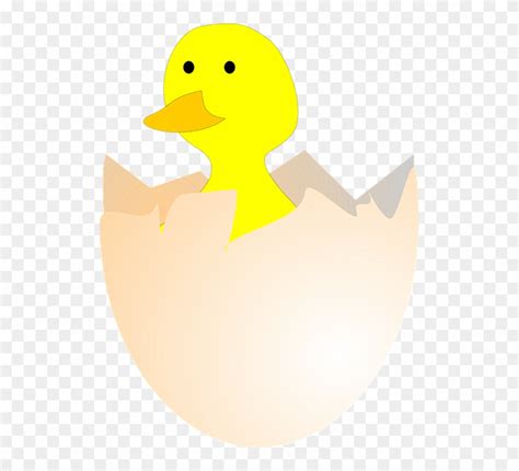 We did not find results for: Gambar Telur Bebek Menetas Clipart (#1373396) - PinClipart