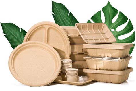 Biodegradable Packaging, Eco Friendly Packaging, Kraft Packaging