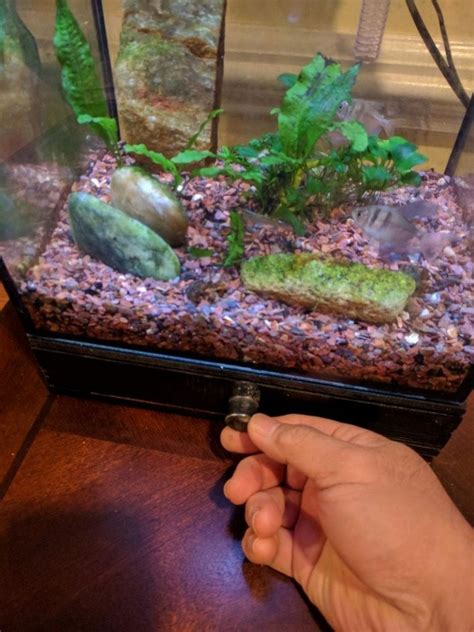 Do you have some plastic bottles of different sizes and some minutes? DIY Fish Tank Secret Hiding Place | Your Projects@OBN