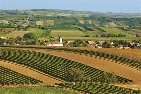 Landschaft niederösterreich österreich gästehaus sport und freizeit kurz franz u marianne landgasthof binder badenfotos baumgartner w ing gesmbh & co kg bücherei, Weinviertel Ausflug: Top 10 Ausflugsziele