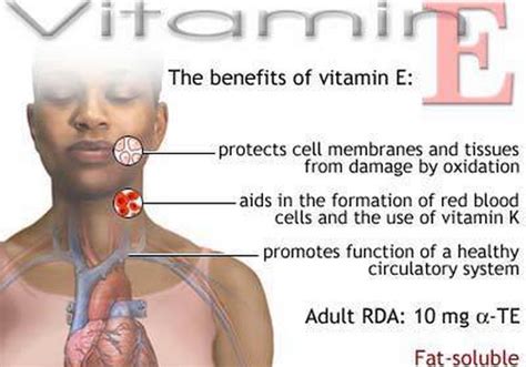 Then discuss with a doctor whether dietary changes and supplementation are warranted, as well as any potential benefits and. Vitamin E: Key Facts and Health Benefits | Nutrition ...