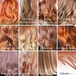 Strawberry Hair Colour Chart Hair Color Chart Hair