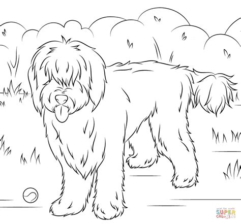 Unless a goldendoodle is very dark brown or black, many goldendoodle puppies can have their fur color in a cream shade. Goldendoodle Coloring Sheet - Free Coloring Page