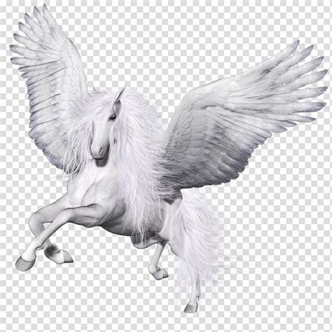 Png download / new png images. بيغاسوس أبيض، تصوير، مجنح، وحيد القرن، Pegasus، حصان، توسد ...