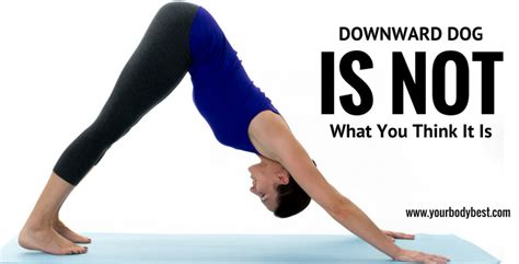 Maybe you would like to learn more about one of these? Downward Dog Is Not What You Think It Is | Your Body Best