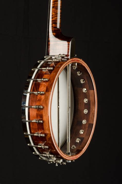 Shareholders in opendoor technologies inc. Stelling Appalachian Frailer Open Back 5 String Banjo Used ...