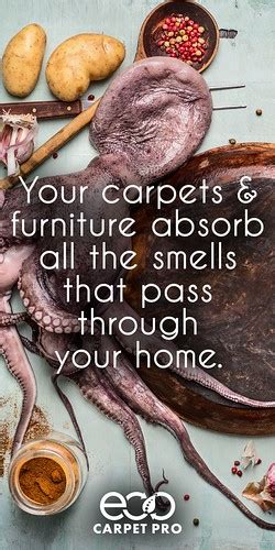 We are a family owned small business that is focused on providing the best quality of service above all. Incredible Carpet Cleaning Results | Eco Carpet Pro has a ...