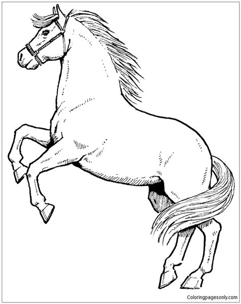 Horse drawings animal drawings art drawings horse coloring pages colouring pages horse stencil horse rearing horse sketch free horses more information. Rearing Horse Coloring Pages at GetColorings.com | Free ...