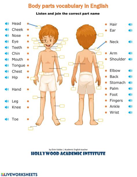 The organ inside the head that controls thought, memory, feelings and activity. Body parts interactive worksheet for pre-intermedia