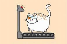 cat gif funny cats exercise lazy treadmill cute cartoon memes animated kitty gifs animation running fitness meme tumblr comics chubby