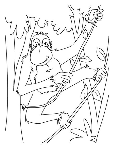 Kids who print and color sheets and pictures, generally acquire and use knowledge more effectively. Chimpanzee Swinging Around With Tree Root Coloring Page ...