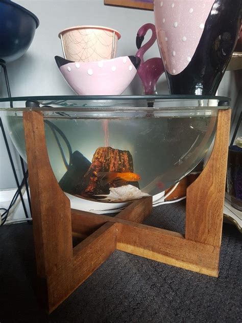 It gives the 3d effect that looks like a real fish in water. Coffee table fish tank | Fish tank coffee table, Fish tank ...