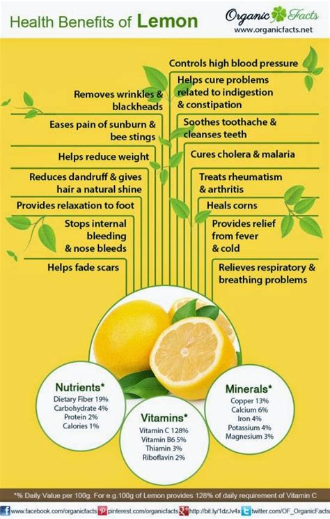 Apa manfaat yang didapat dari minum jus seledri? 15 Rahsia Lemon Yang Tidak Kita Ketahui ~ Butik GebuGebu