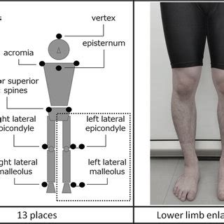 Hola nuevamente, como traducirian ustedes la expresión tamdem gait ? (PDF) Kinematic analysis of tandem gait on a sine wave walkway