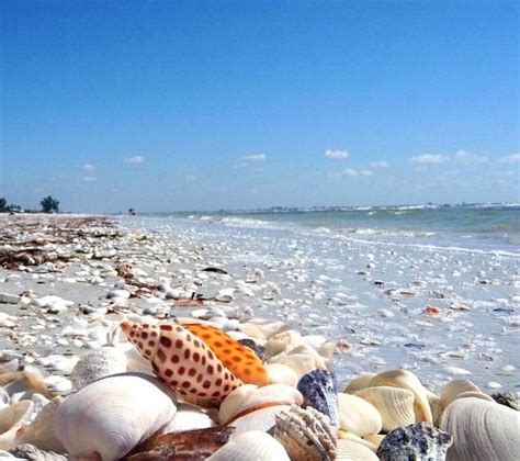 Sanibel island, located just a short drive away from fort myers, florida, sits along the gulf of mexico. Sanibel Island