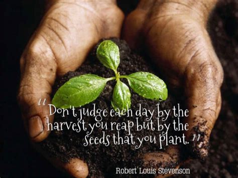 Would you like us to send you a free inspiring quote delivered to your inbox daily? "Don't judge each day by the harvest you reap but by the seeds that y…