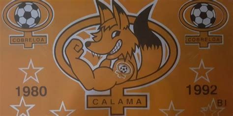 Club de deportes cobreloa femenino — cobreloa nombre completo club de deportes cobreloa s.a.d.p. Se disfrazó de mascota de Cobreloa para pedir matrimonio ...