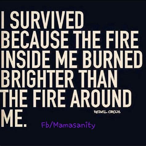 The privilege of a lifetime is being who you are. I Survived because the Fire inside me Burned Brighter than the Fire around me. www.mamasanity ...