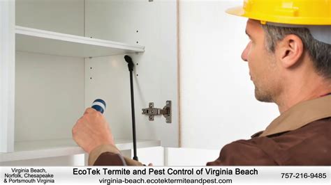 Team up with a pest control company in manassas, va. Virginia Beach Pest Control - EcoTek Termite and Pest ...