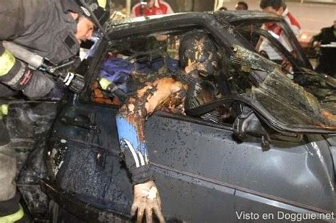 Brezilya kulübü chapecoense'nin yaşadığı uçak kazasının etkisi tüm dünyada devam ediyor. Horrendo accidente: tripulantes mueren quemados (fotos ...