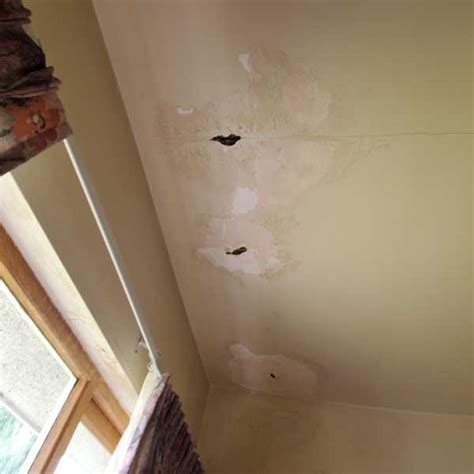 First, scrub the ceiling with a brush to remove loose how much does water damaged ceiling repair cost? Water Damage Ceiling Repair Vancouver Burnaby BC - Drywall ...